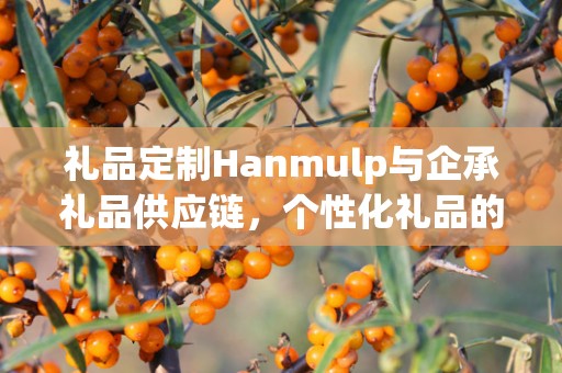 礼品定制Hanmulp与企承礼品供应链，个性化礼品的艺术之旅